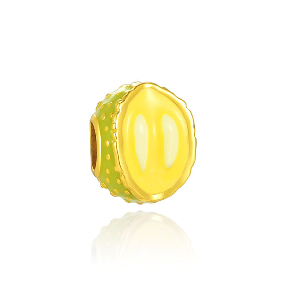 Berloque em prata 925 - Charm My Life Durian